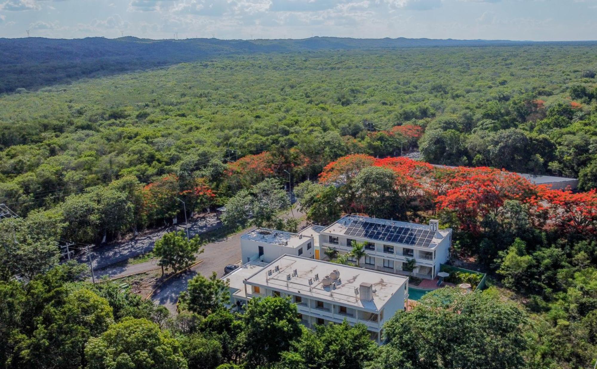 Hotel Cielo Y Selva Tekax Tekax de Alvaro Obregon Exterior foto